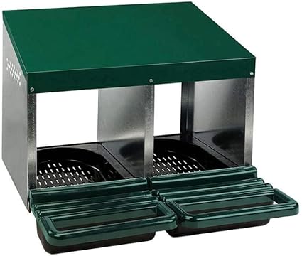 Jaula para Gallinas Ponedoras con 2 Compartimentos – Estructura Metálica, Verde