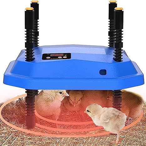 Calentador para Pollitos y Aves de 25 × 25 cm – Altura y Ángulo Ajustables, Bajo Consumo