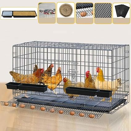 Jaula para Gallinas Plegable con Bandeja Extraíble y Recogida de Huevos – 70 × 50 × 64 cm