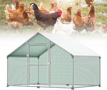 Froadp Gallinero Metálico Grande para Exterior – 3 × 2 × 2 m, 6 m², con Techo de PE y Cerradura