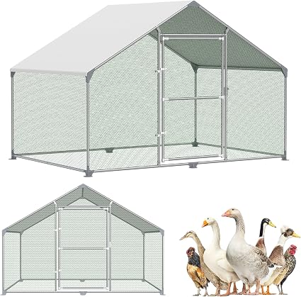 SUBTLETY Gallinero Metálico Exterior – 3 × 2 × 2 m, 6 m² con Puerta y Techo de Polietileno