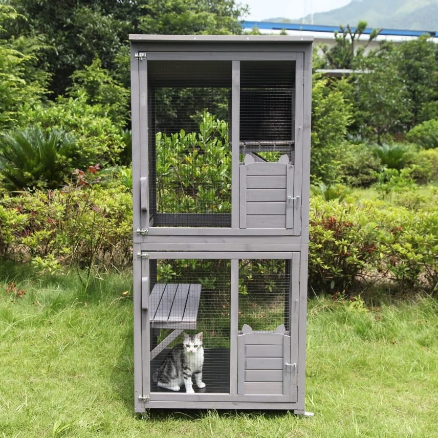 Catio / maison para chats – grande Parque de madera interior/exterior con très grandee puerta, plateformes y pequeña maison